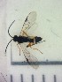  ( - IAvH-E-180293)  @11 [ ] CreativeCommons - Attribution Non-Commercial Share-Alike (2016) Catalina Reina Instituto de Investigacion de Recursos Biologicos Alexander von Humboldt