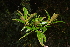  ( - 0041-I_HMC18863)  @11 [ ] CreativeCommons - Attribution Non-Commercial Share-Alike (2027) Instituto de Investigacion Alexander von Humboldt (IAvH) Instituto de Investigacion Alexander von Humboldt (IAvH)