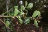  ( - 0055-I_HMC18878)  @11 [ ] CreativeCommons - Attribution Non-Commercial Share-Alike (2016) Instituto de Investigacion Alexander von Humboldt (IAvH) Instituto de Investigacion Alexander von Humboldt (IAvH)