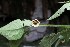  ( - 0122-I_HMC18958)  @11 [ ] CreativeCommons - Attribution Non-Commercial Share-Alike (2016) Instituto de Investigacion Alexander von Humboldt (IAvH) Instituto de Investigacion Alexander von Humboldt (IAvH)