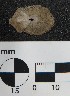  (Fissurella microtrema - Fmi_MOL12108)  @11 [ ] by-nc-sa (2018) Invemar Invemar-BEM