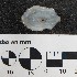  ( - Fmi_MOL12108)  @11 [ ] by-nc-sa (2018) Invemar Invemar-BEM