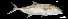  ( - Sri_Consec. 90170)  @11 [ ] Unspecified (default): All Rights Reserved (2025) Invemar Invemar-BEM