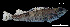  ( - Msu_Consec. 90092)  @11 [ ] Unspecified (default): All Rights Reserved (2025) Invemar Invemar-BEM
