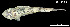  ( - Alu_Consec. 90093)  @11 [ ] Unspecified (default): All Rights Reserved (2025) Invemar Invemar-BEM