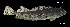  ( - Msu_Consec. 90132)  @11 [ ] Unspecified (default): All Rights Reserved (2025) Invemar Invemar-BEM