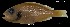  ( - Sla_Consec. 90167)  @11 [ ] Unspecified (default): All Rights Reserved (2025) Invemar Invemar-BEM