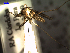  ( - MACN-Bar-Ins-ct 04785)  @12 [ ] Copyright (2012) MACN MACN