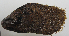  ( - MIVSA:BIVAL:00030)  @13 [ ] CreativeCommons - Attribution Non-Commercial (2010) Cristian Bernardi Unspecified