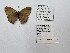  ( - CBMP0140)  @11 [ ] Unspecified (default): All Rights Reserved (2022) Copyright photoshop
