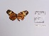  ( - CBMP0268)  @11 [ ] Unspecified (default): All Rights Reserved (2022) Copyright photoshop