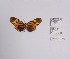  ( - CBMP0271)  @11 [ ] Unspecified (default): All Rights Reserved (2022) Copyright photoshop