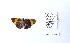  ( - CBMP0288)  @11 [ ] Unspecified (default): All Rights Reserved (2027) Copyright photoshop