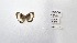  ( - CBMP0340)  @11 [ ] Unspecified (default): All Rights Reserved (2022) Copyright photoshop