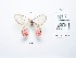  ( - CBMP0089)  @11 [ ] Copyright (2022) Unspecified photoshop