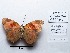  ( - CBMP0132)  @11 [ ] Copyright (2022) Unspecified photoshop
