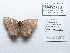  ( - CBMP0141)  @11 [ ] Copyright (2022) Unspecified photoshop