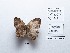  ( - CBMP0150)  @11 [ ] Copyright (2022) Unspecified photoshop