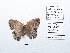  ( - CBMP0150)  @11 [ ] Copyright (2022) Unspecified photoshop