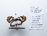  ( - CBMP0156)  @11 [ ] Copyright (2022) Unspecified photoshop