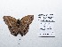  ( - CBMP0160)  @11 [ ] Copyright (2022) Unspecified photoshop