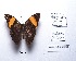  ( - CBMP0170)  @11 [ ] Copyright (2022) Unspecified photoshop