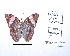  ( - CBMP0170)  @11 [ ] Copyright (2022) Unspecified photoshop
