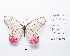  ( - CBMP0184)  @11 [ ] Copyright (2022) Unspecified photoshop