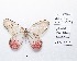  ( - CBMP0184)  @11 [ ] Copyright (2022) Unspecified photoshop