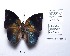  ( - CBMP0204)  @11 [ ] Copyright (2022) Unspecified photoshop