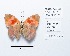  ( - CBMP0223)  @11 [ ] Copyright (2022) Unspecified photoshop