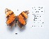  ( - CBMP0224)  @11 [ ] Copyright (2022) Unspecified photoshop