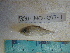  ( - IB-COAH010)  @12 [ ] CreativeCommons - Attribution Non-Commercial Share-Alike (2011) Hector Espinosa Universidad Nacional Autonoma de Mexico, Instituto de Biologia