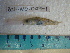  ( - IB-COAH023)  @12 [ ] CreativeCommons - Attribution Non-Commercial Share-Alike (2011) Hector Espinosa Universidad Nacional Autonoma de Mexico, Instituto de Biologia