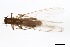  ( - 09CBSTO-075)  @13 [ ] CreativeCommons - Attribution (2010) Unspecified Centre for Biodiversity Genomics