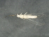  ( - 09CBSTO-109)  @13 [ ] CreativeCommons - Attribution (2010) Unspecified Centre for Biodiversity Genomics