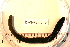  ( - 08PROBE-0010)  @12 [ ] CreativeCommons - Attribution (2010) Unspecified Centre for Biodiversity Genomics