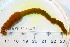  ( - 08PROBE-0049)  @12 [ ] CreativeCommons - Attribution (2010) Unspecified Centre for Biodiversity Genomics