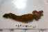  ( - 08PROBE-0052)  @12 [ ] CreativeCommons - Attribution (2010) Unspecified Centre for Biodiversity Genomics