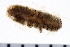  ( - 08PROBE-0044)  @12 [ ] CreativeCommons - Attribution (2010) Unspecified Centre for Biodiversity Genomics