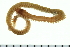  ( - 08PROBE-0058)  @13 [ ] CreativeCommons - Attribution (2010) Unspecified Centre for Biodiversity Genomics