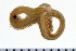  ( - 08PROBE-0059)  @13 [ ] CreativeCommons - Attribution (2010) Unspecified Centre for Biodiversity Genomics