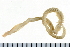  ( - 08PROBE-0075)  @12 [ ] CreativeCommons - Attribution (2010) Unspecified Centre for Biodiversity Genomics