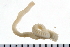  ( - 08PROBE-0079)  @12 [ ] CreativeCommons - Attribution (2010) Unspecified Centre for Biodiversity Genomics