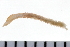  ( - 08PROBE-0097)  @12 [ ] CreativeCommons - Attribution (2010) Unspecified Centre for Biodiversity Genomics