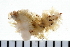  ( - 08PROBE-0102)  @13 [ ] CreativeCommons - Attribution (2010) Unspecified Centre for Biodiversity Genomics