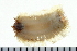  ( - 08PROBE-0134)  @13 [ ] CreativeCommons - Attribution (2010) Unspecified Centre for Biodiversity Genomics
