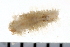  ( - 08PROBE-0170)  @13 [ ] CreativeCommons - Attribution (2010) Unspecified Centre for Biodiversity Genomics