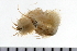  ( - 08PROBE-0278)  @13 [ ] CreativeCommons - Attribution (2010) Unspecified Centre for Biodiversity Genomics