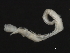  ( - 09PROBE-01181)  @12 [ ] CreativeCommons - Attribution (2009) Unspecified Centre for Biodiversity Genomics